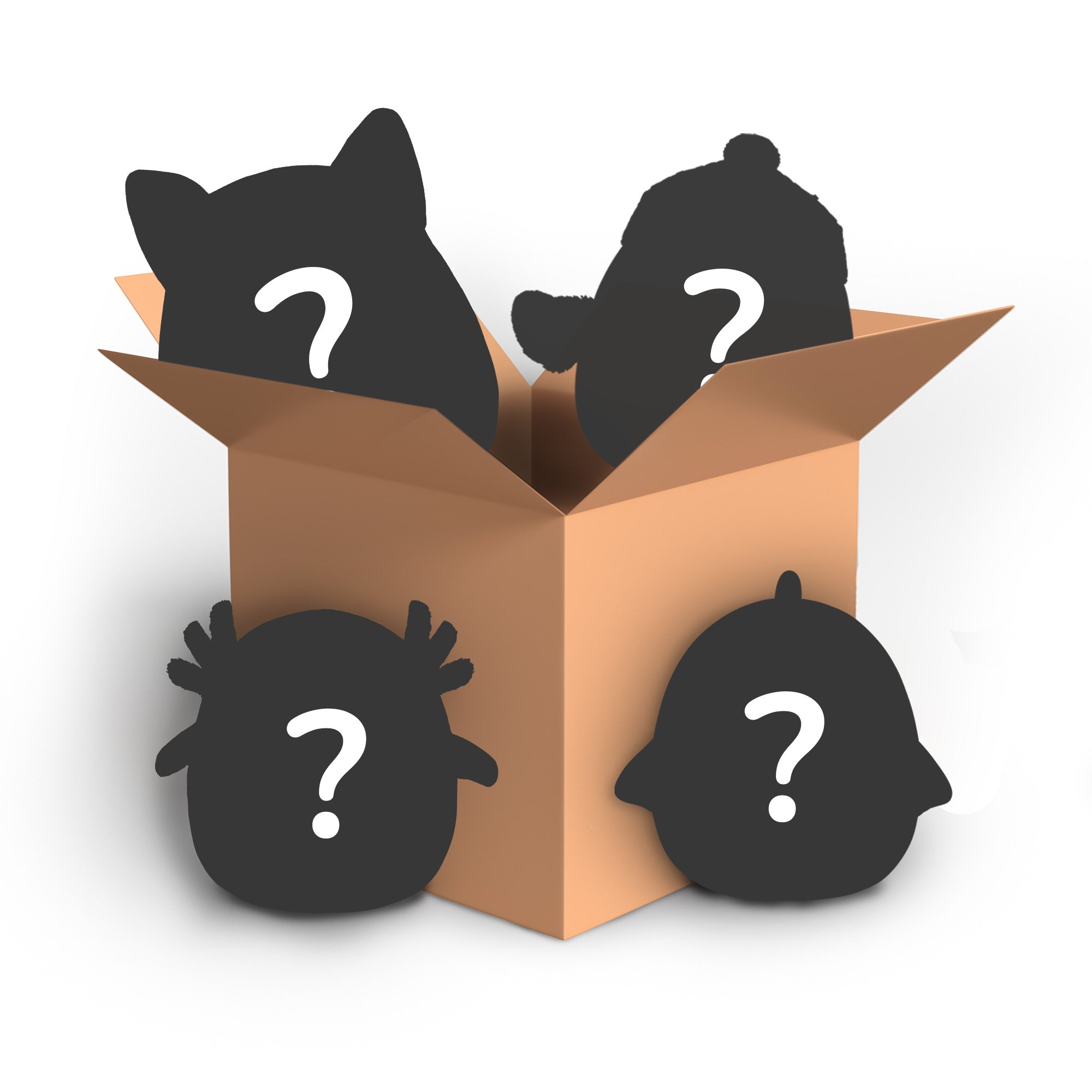 MysteryBox.jpg