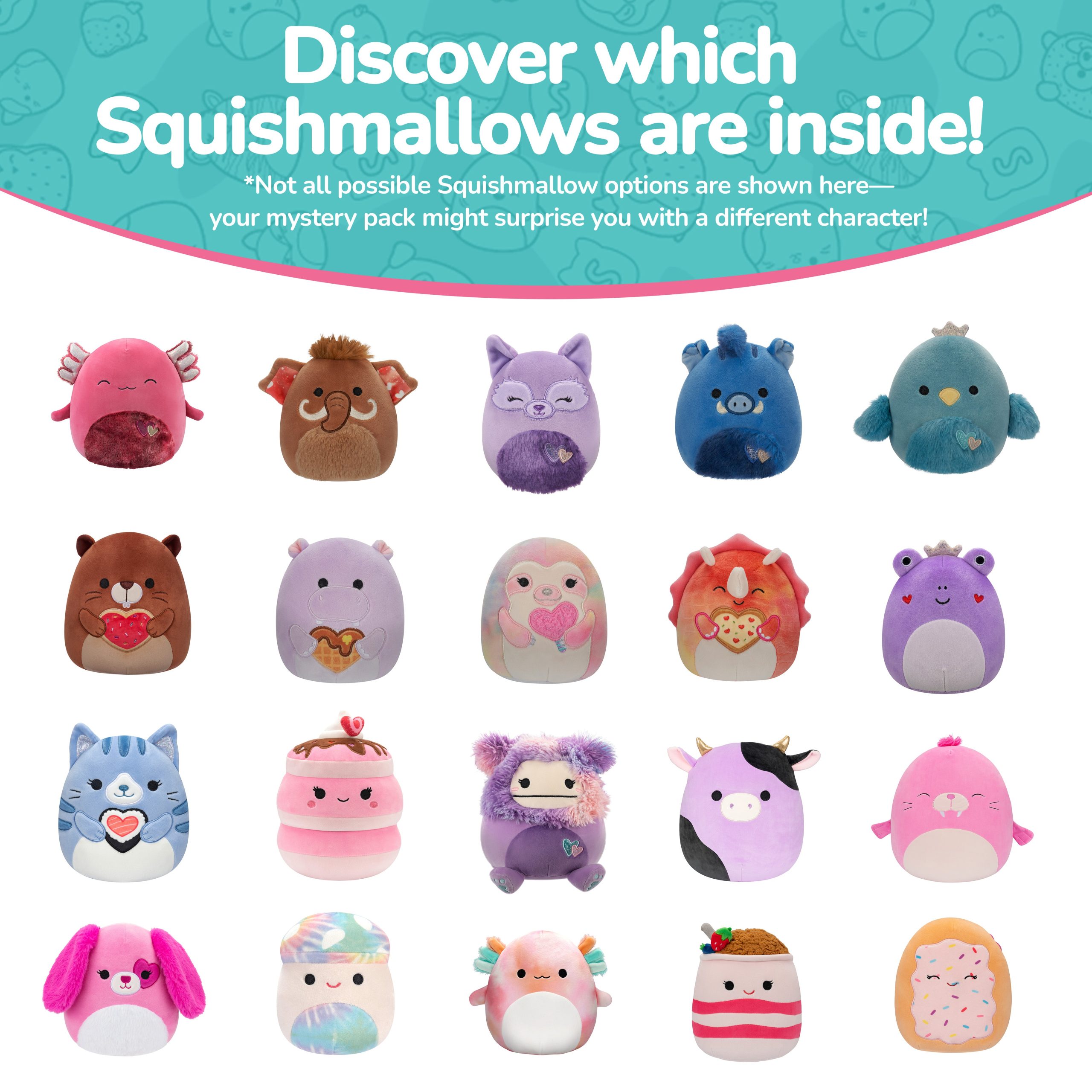 Mystery_Pack_-_5_inch_Squishmallows.jpg