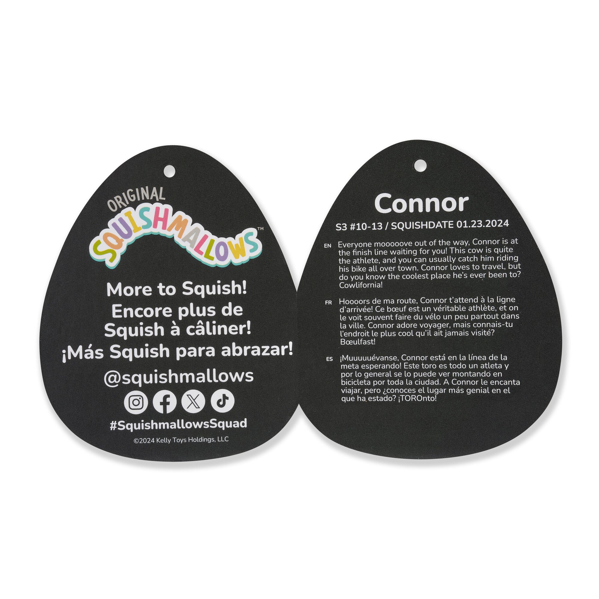SQCR06403-Connor-Tag2-lpr.jpg