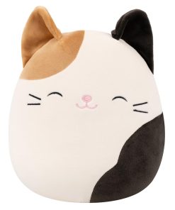 Cam the Calico Cat